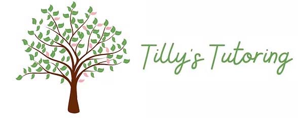 Mindset Maths - Maths Masterclasses from Tillys Tutoring